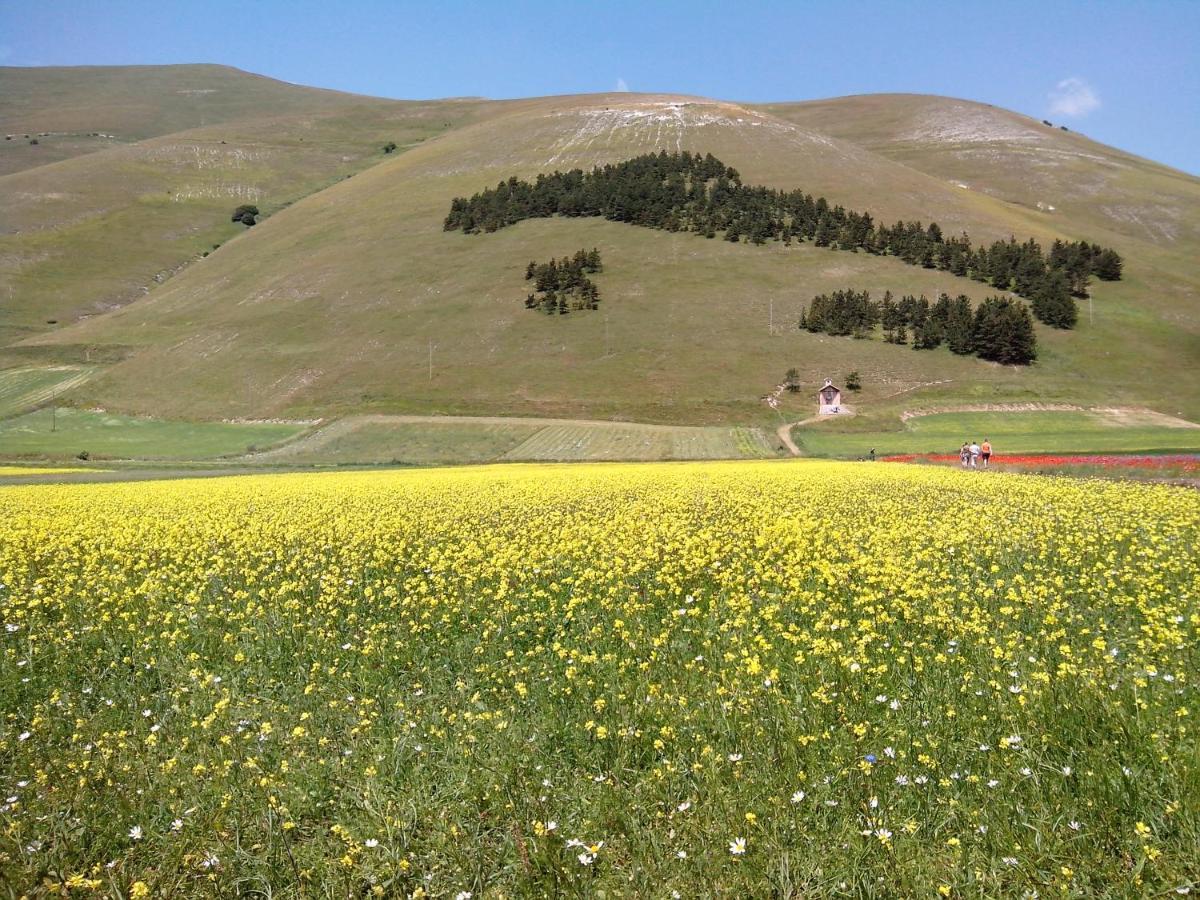 B&B Nonna Rosa Norcia Eksteriør billede