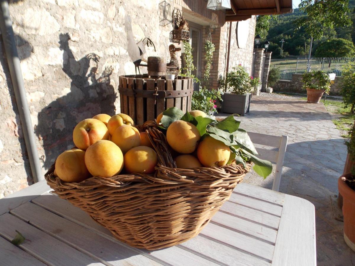 B&B Nonna Rosa Norcia Eksteriør billede