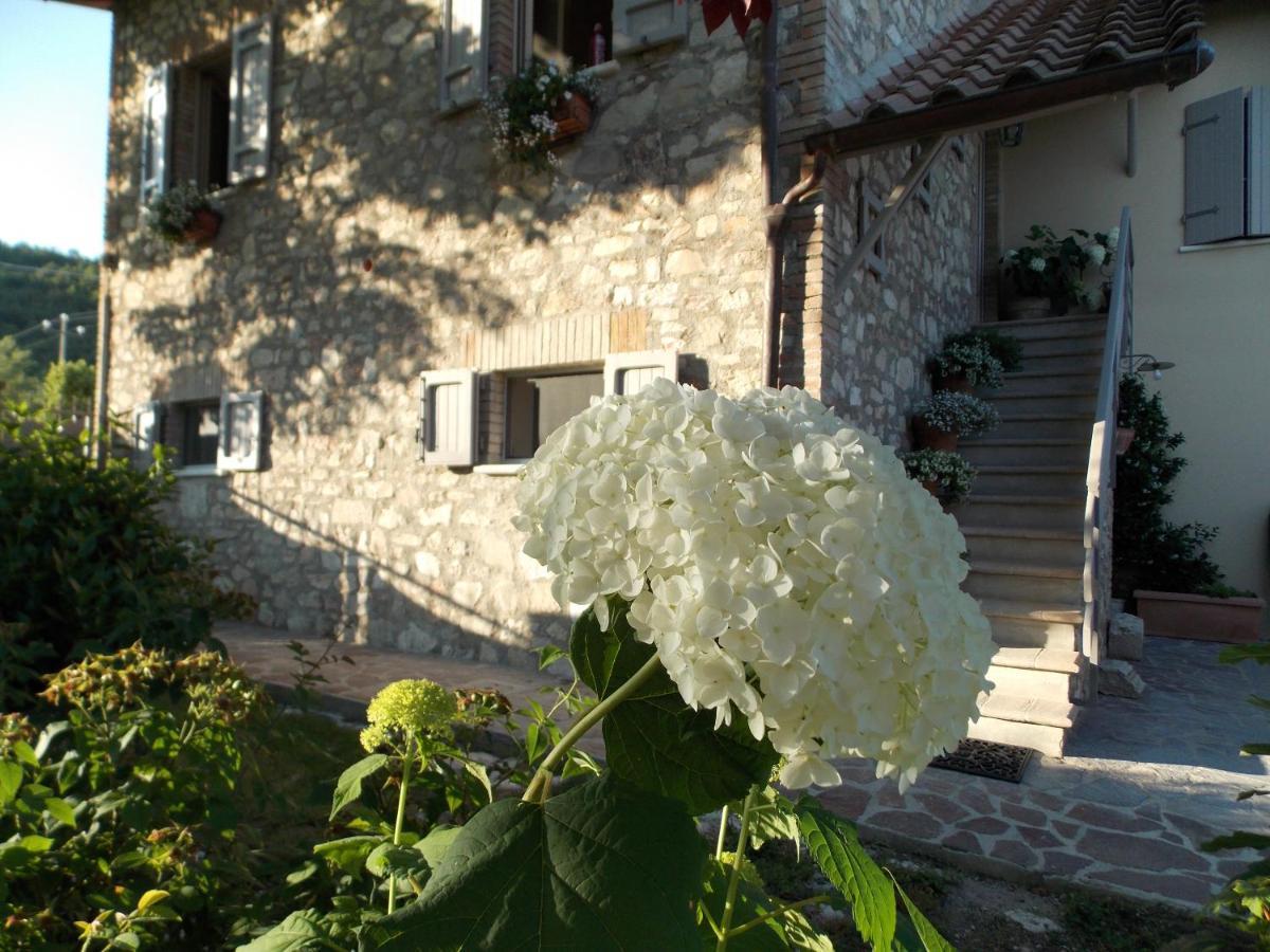 B&B Nonna Rosa Norcia Eksteriør billede